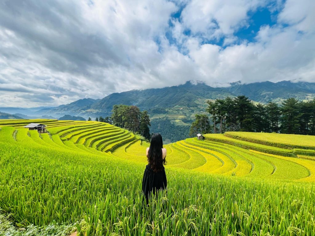 Tour Mù Cang Chải