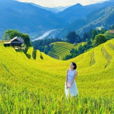 mù cang chải 3 ngày 2 đêm