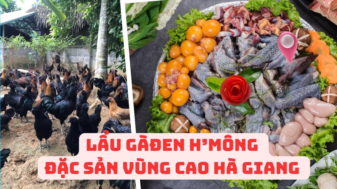 Lẩu Gà Đen, Hà Giang