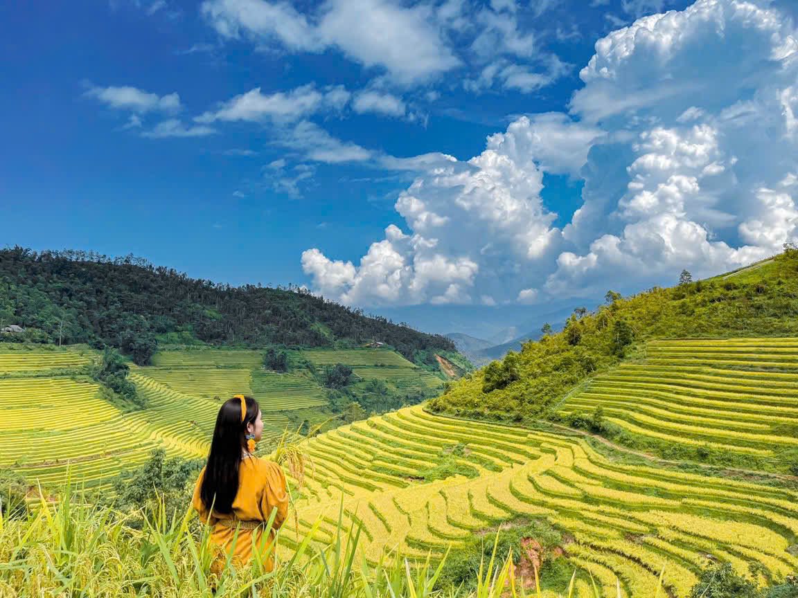 Tả Van mùa lúa chín